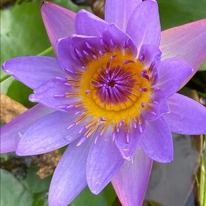 Meet your Posher, Vera